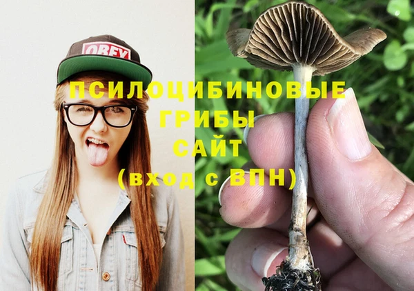 альфа пвп Осинники