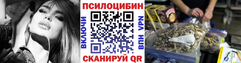 где можно купить   Красновишерск  Галлюциногенные грибы Cubensis 